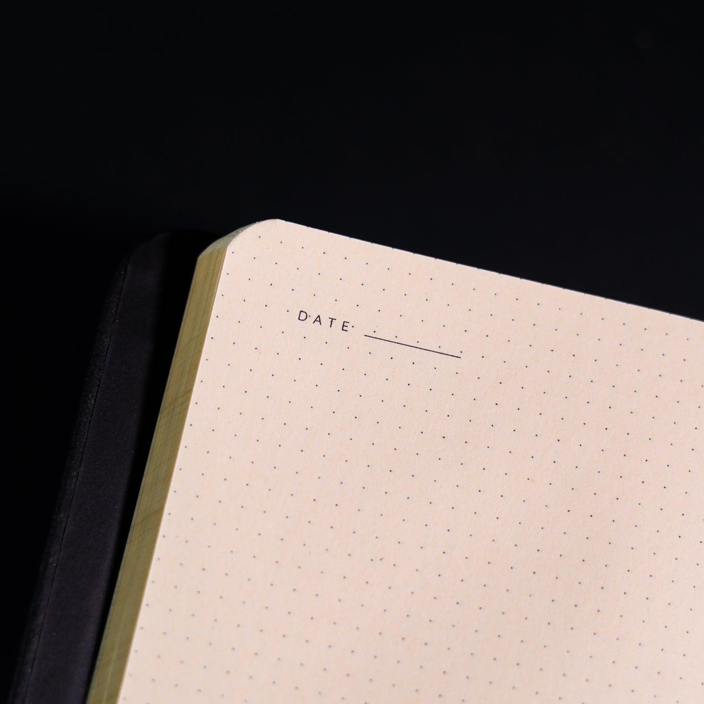THE NOTBOOK